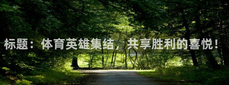 betway西汉姆官网：标题：体育英雄集结，共享胜利的喜悦！