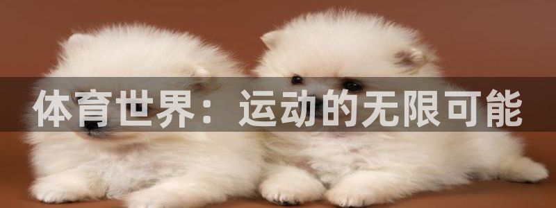 betway西汉姆：体育世界：运动的无限可能