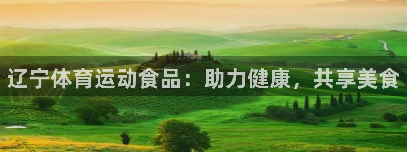 betway西汉姆：辽宁体育运动食品：助力健康，共享美食