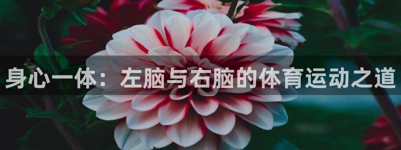 betway西汉姆联官网：身心一体：左脑与右脑的体育运动之道
