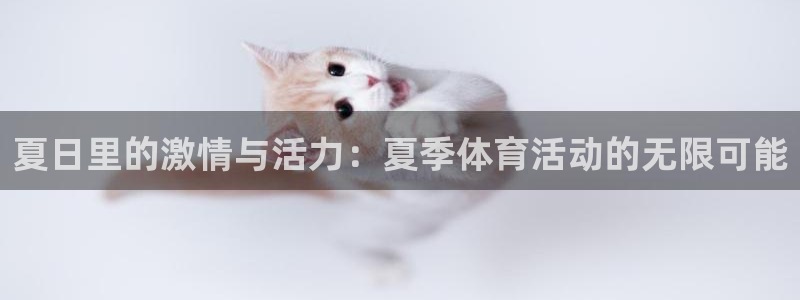 betway西汉姆联：夏日里的激情与活力：夏季体育活动的无限可能