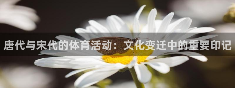 betway西汉姆联官网：唐代与宋代的体育活动：文化变迁中的重要印记